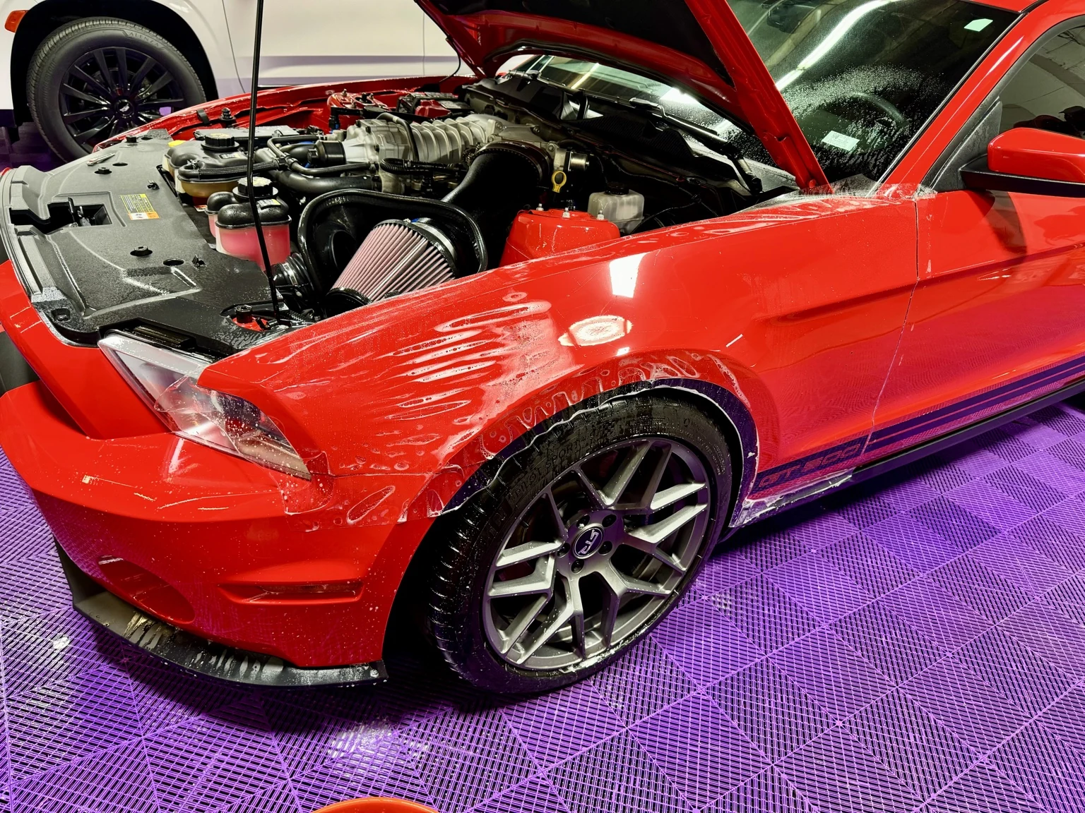 Red Shelby GT500 front fender and open hood during paint protection film installation in the Arnold shop