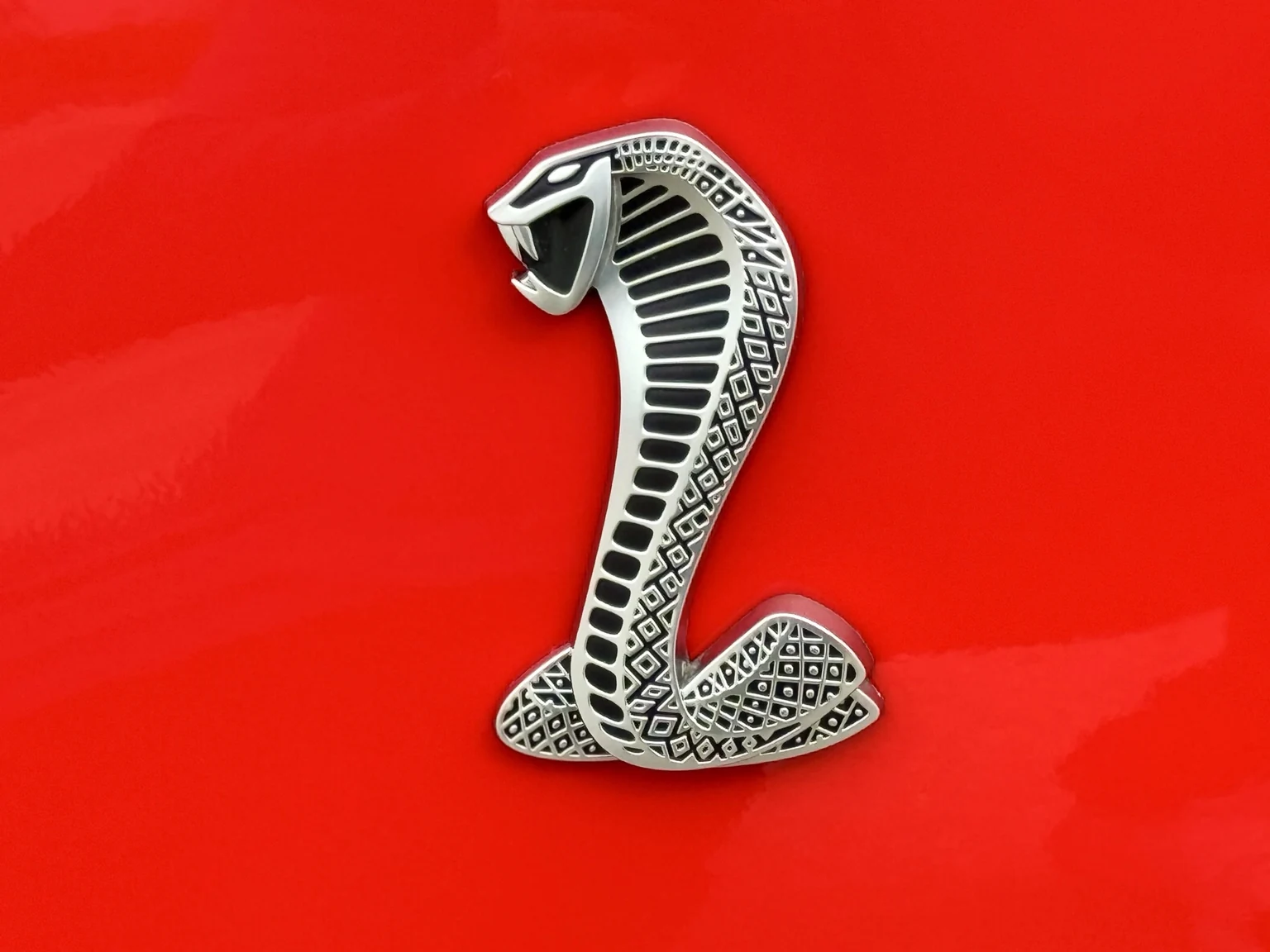 Close-up of an original chrome Cobra emblem reinstalled on the red Shelby GT500 fender